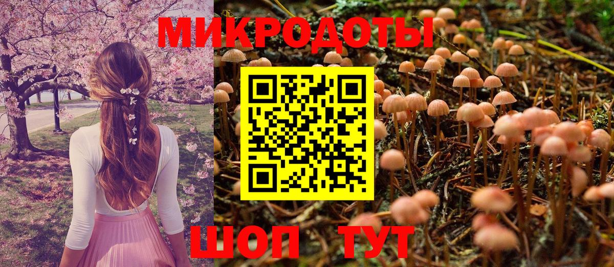 Екатеринбург  Галлюциногенные грибы Psilocybe  Вход с VPN 